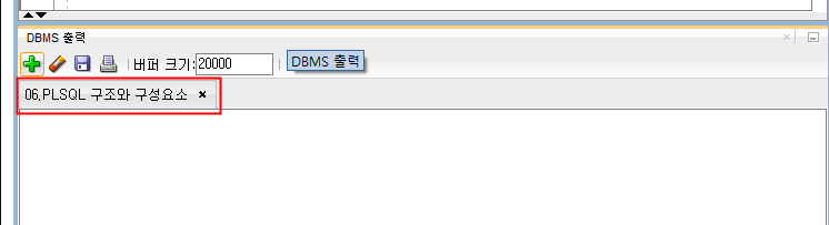SQL Developer의 DBMS 출력 창