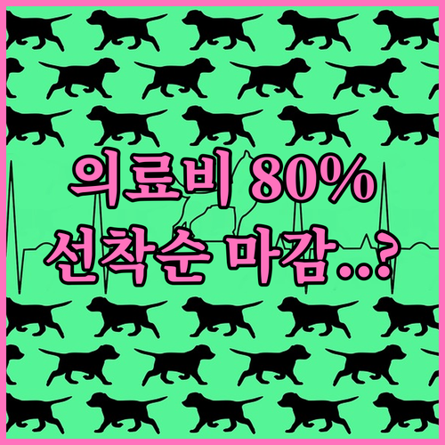 진천군 반려동물 의료비 80% 지원 ..