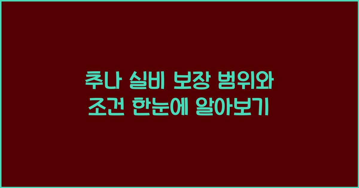 추나 실비