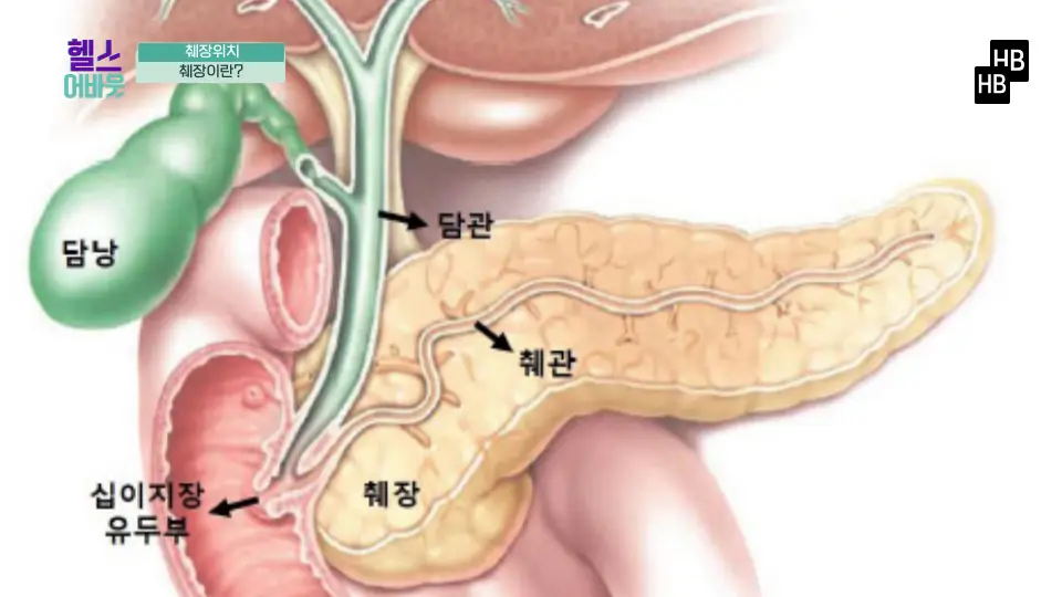 췌장에 좋은 음식