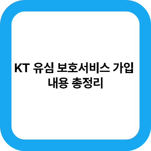 KT 유심 보호서비스 가입 내용 총정리 대표사진