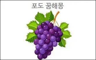 포도 꿈해몽