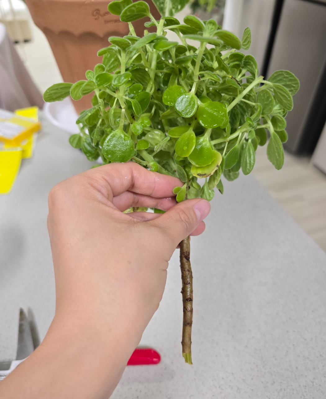 머리가 무겁기때문에 목대지지가 엄청 중요해요