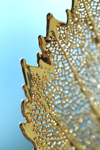 금 시세 1돈 가격, 오늘 확인 안 하면 손해일까?