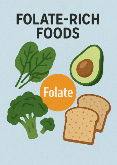 엽산이 많은 식품