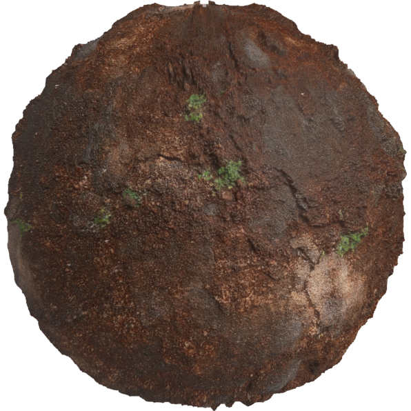 wet earthy ground texture 2