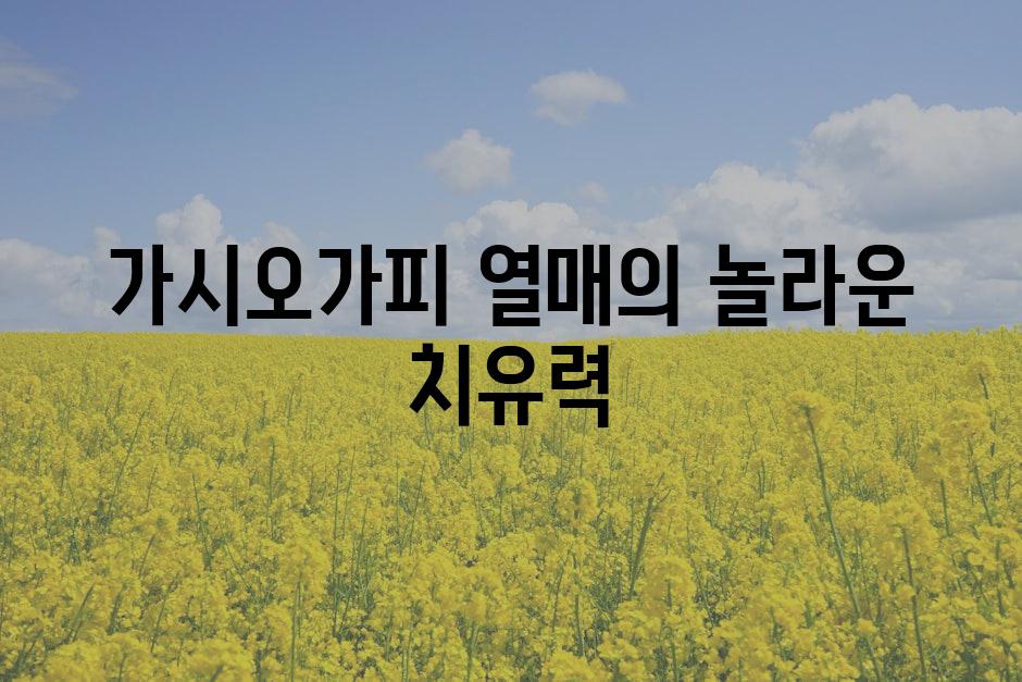 가시오가피 열매의 놀라운 치유력