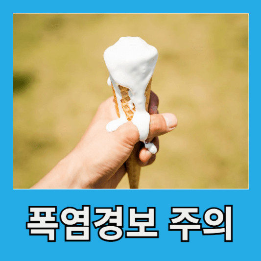 &quot;폭염경보엔 식염포도당&quot;
