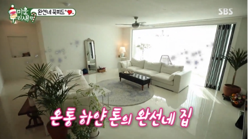 김완선 집공개