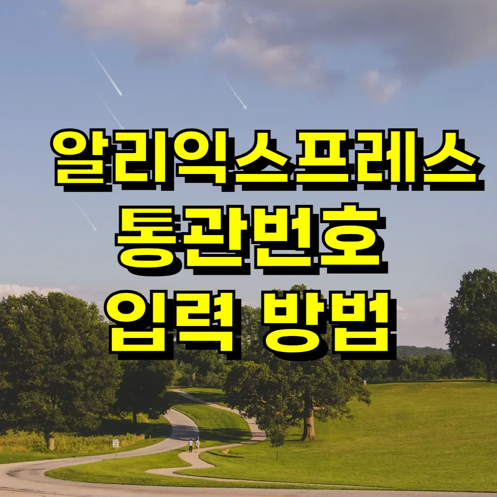 알리익스프레스 통관번호 입력 방법