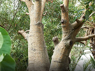 국립생태원 예약 방법