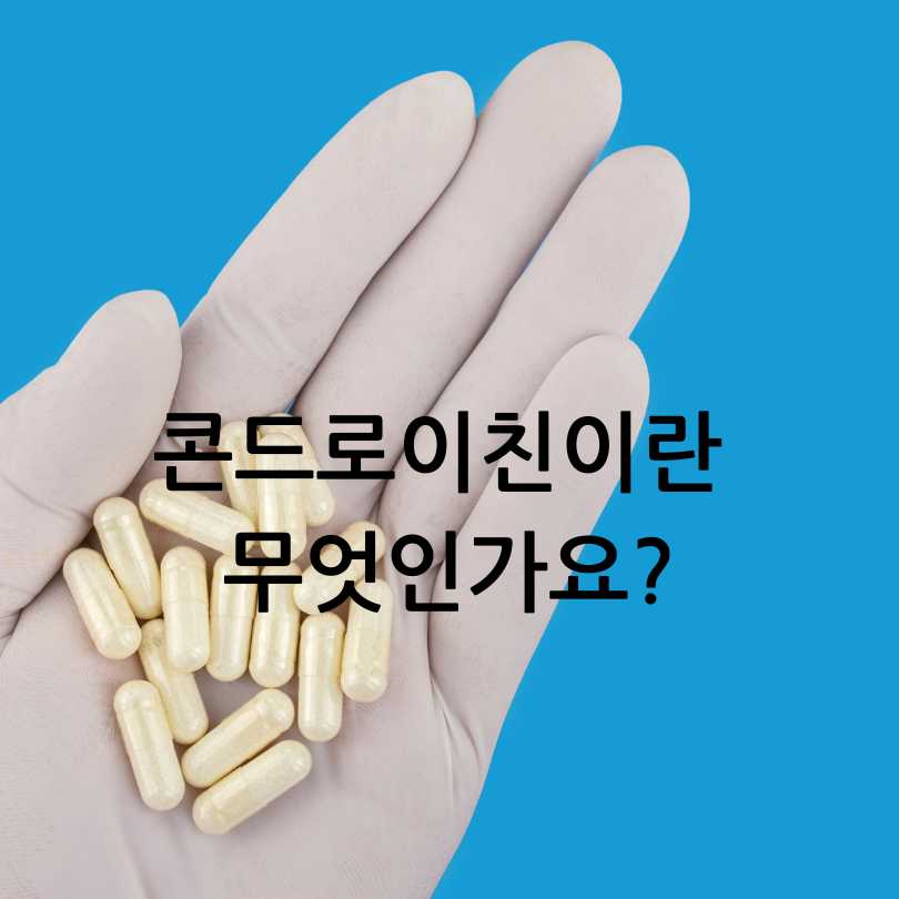 MBP과 콘드로이친 차이점
