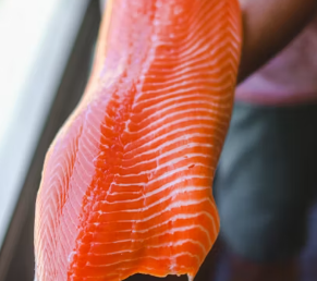 불안장애에 좋은 음식 영양제 식단