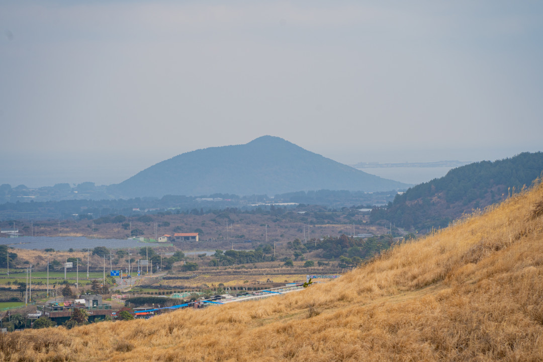 지미봉