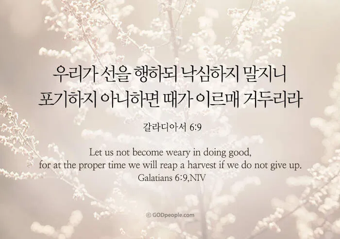 갈라디아서 6장 14절 묵상 십자가의 자랑_5