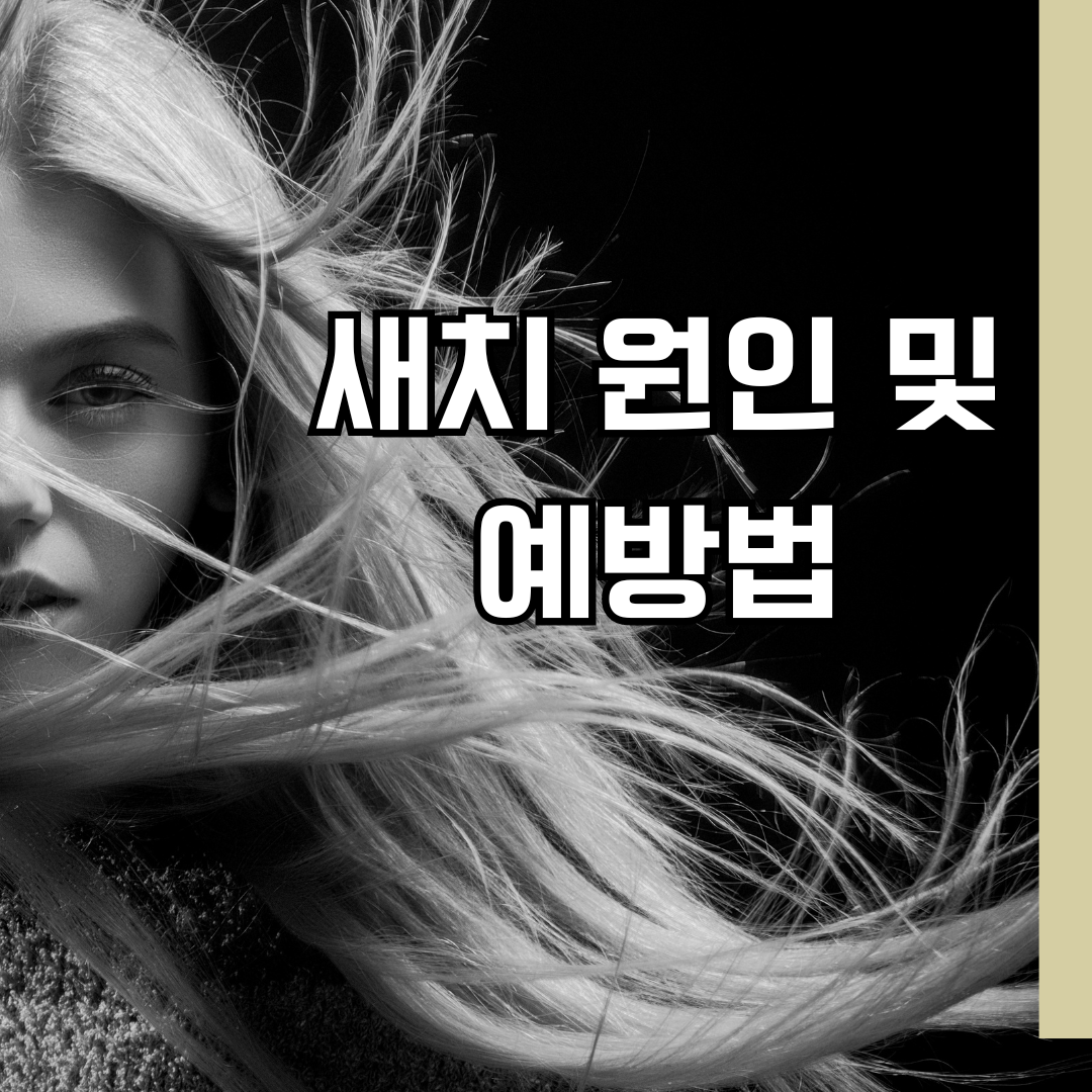 새치, 왜 생길까? 원인과 예방법을 파헤쳐 보자!