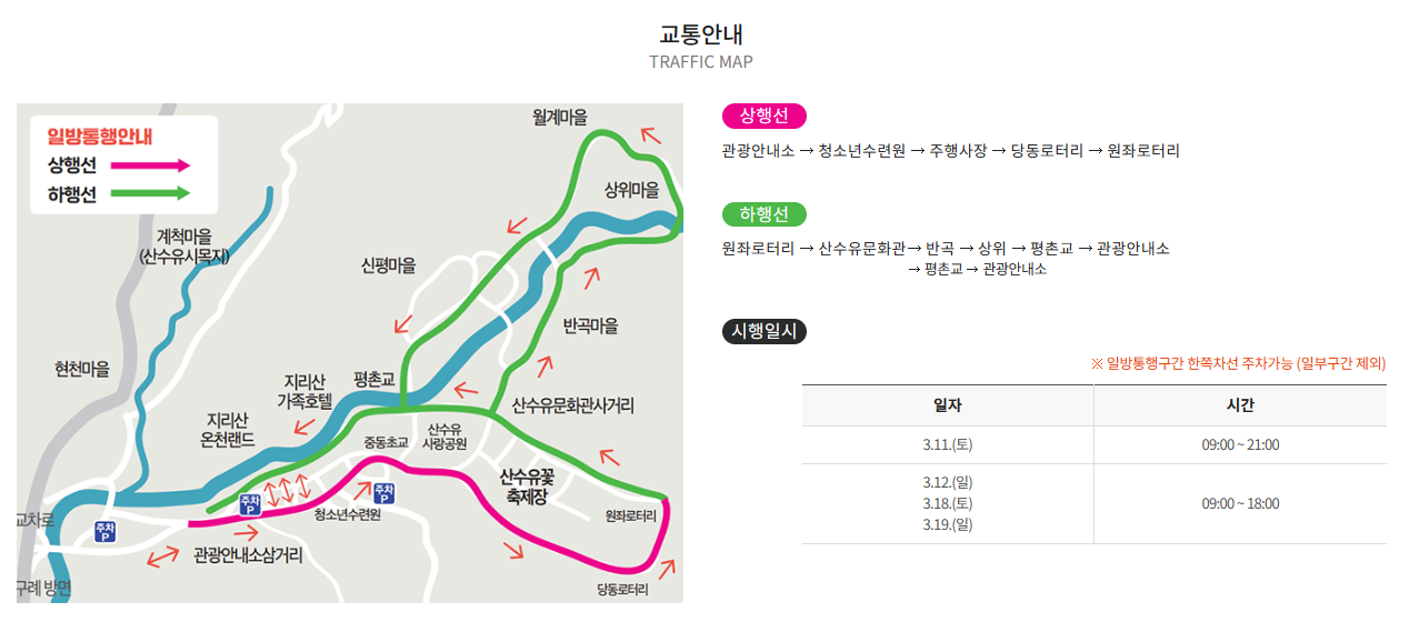 구례 산수유축제