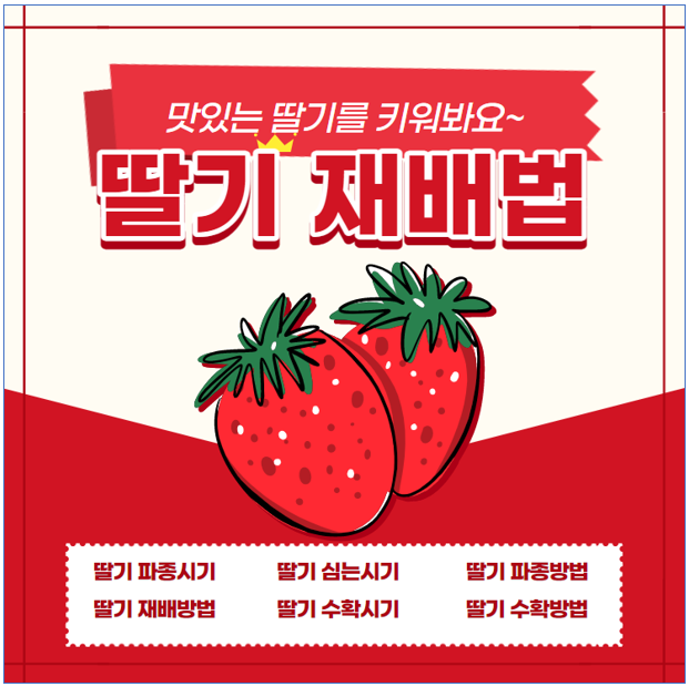 딸기