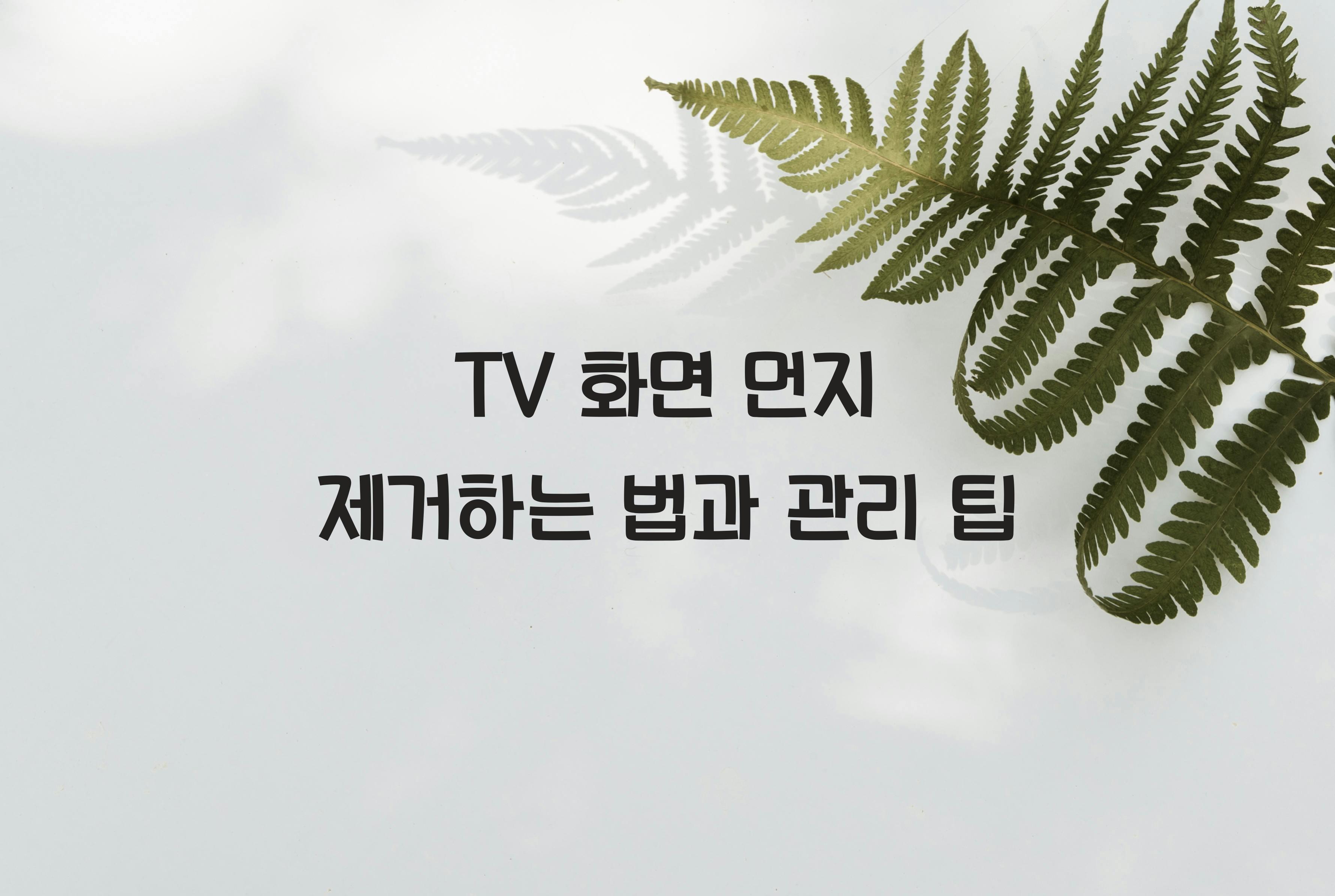 TV 화면 먼지 제거하는 법