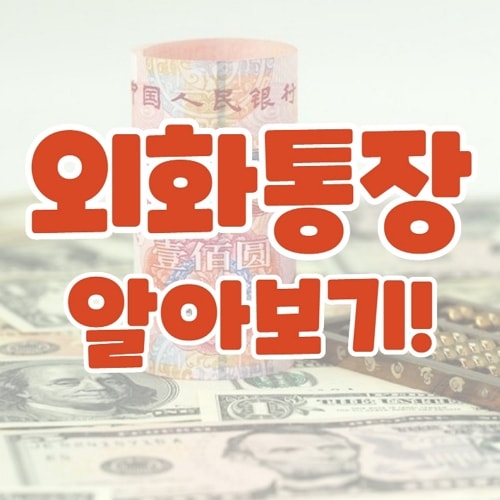 외화통장 알아보기
