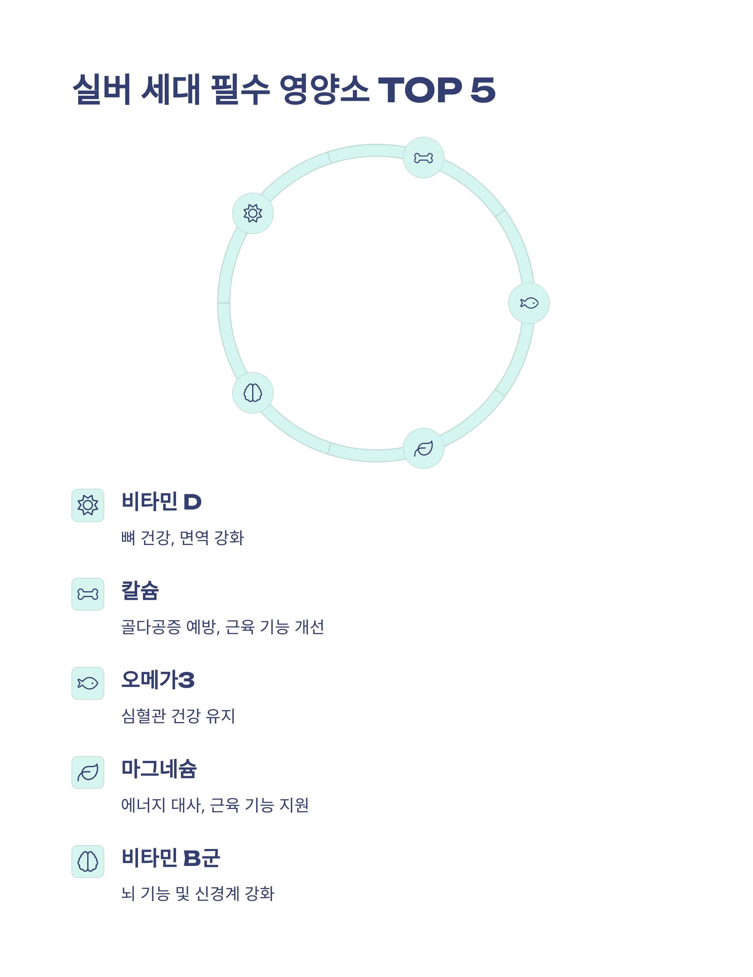 도시 은퇴자가 알려주는 실버 세대 맞춤 영양제 완벽 가이드