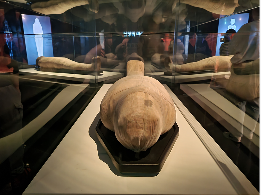 이집트 미라展, 부활을 향한 여정