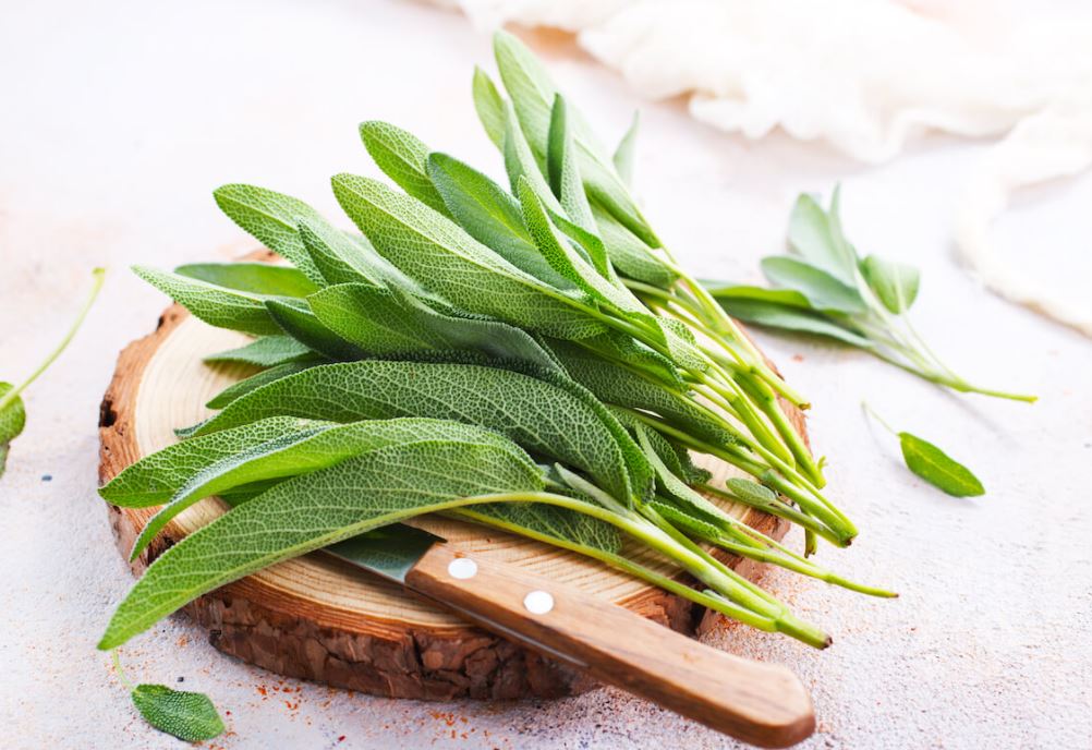 도마위에-있는-허브