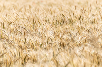 공무원 정년연장 65세 시행 시기 바로 보기 18