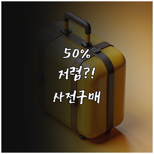 저가항공 위탁수하물 사전 구매가 공항..