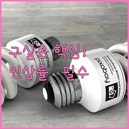 구실손보험 갱신 인상률 줄이는 법 4..