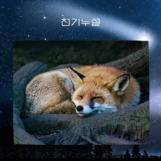 여우가 등장하는 꿈 해몽