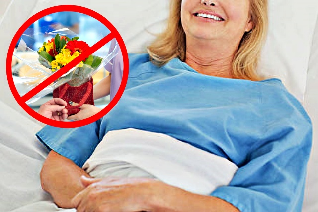 병문안 갈때 선물 꽃 화분 안되요!, 생활 건강 팁줌 매일꿀정보