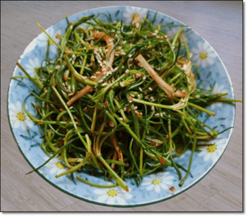 세발나물 겉절이