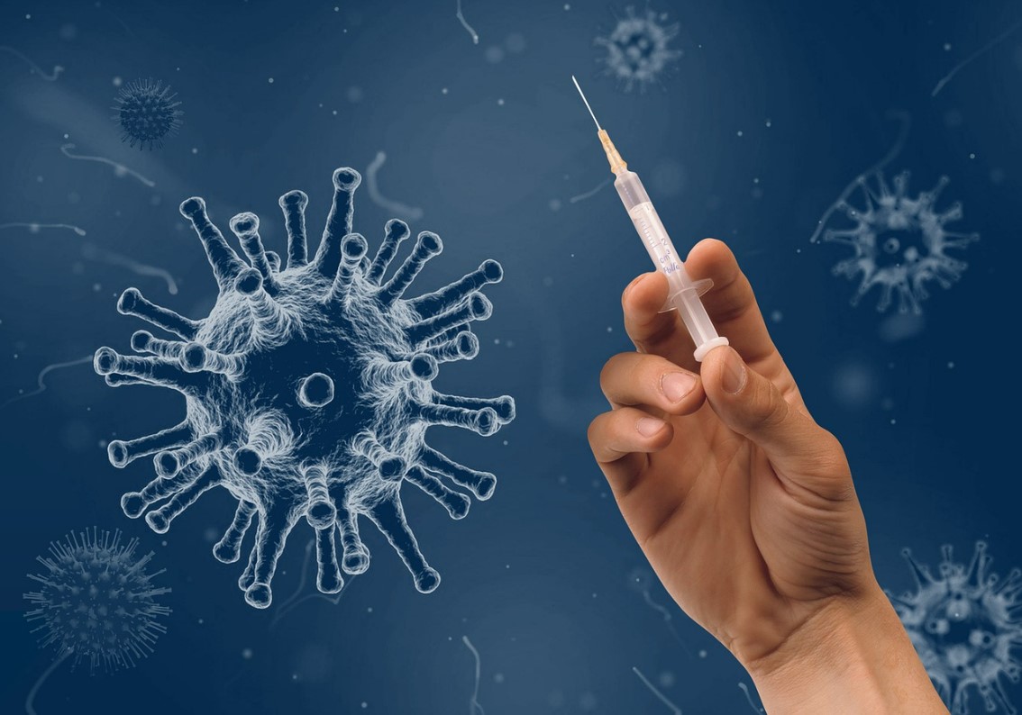 장내 미생물군이 전신 질환에 미치는 영향과 메커니즘