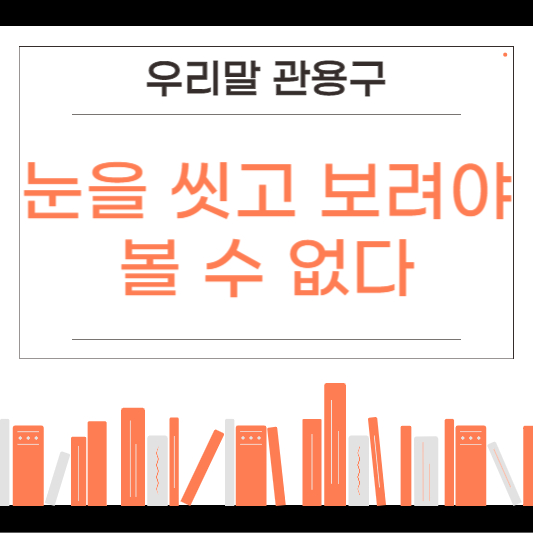 눈을 씻고 보려야 볼 수 없다