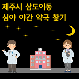 제주시 삼도이동 심야 야간 약국 찾기