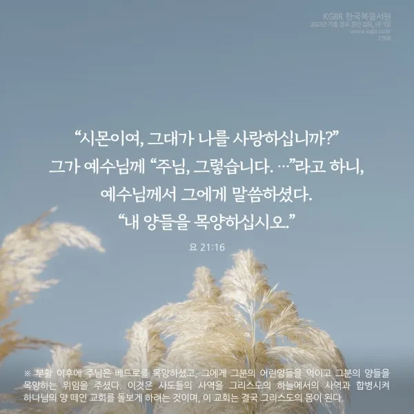 요한복음 21장 실패한 자 기도문 성경_9
