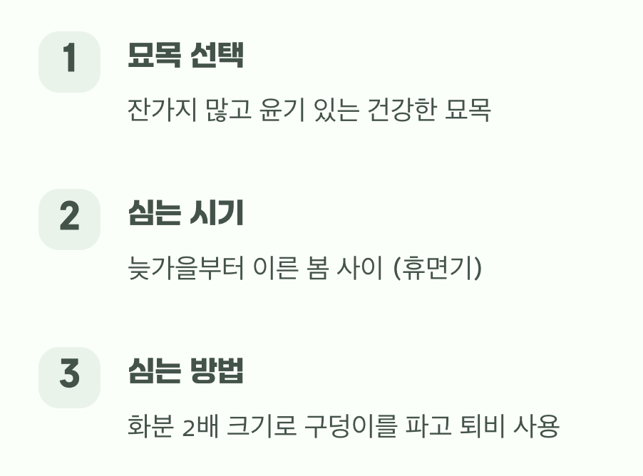 튼튼한 시작, 묘목 심기