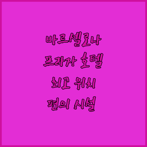 바르셀로나 숙소 바르셀로나 프라자 호..