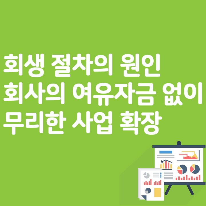 회생 절차의 원인 회사의 여유 자금 없이 무리한 사업 확장