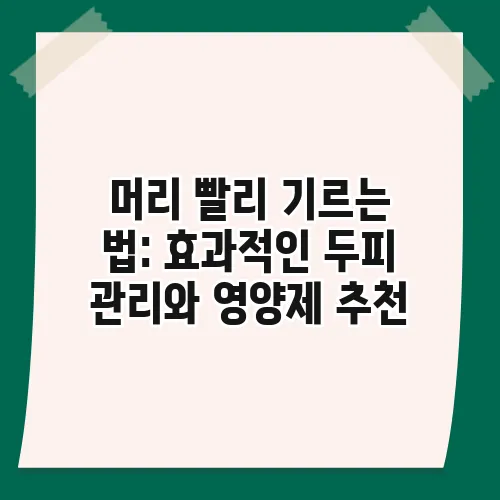 머리 빨리 기르는 법: 효과적인 두피 관리와 영양제 추천