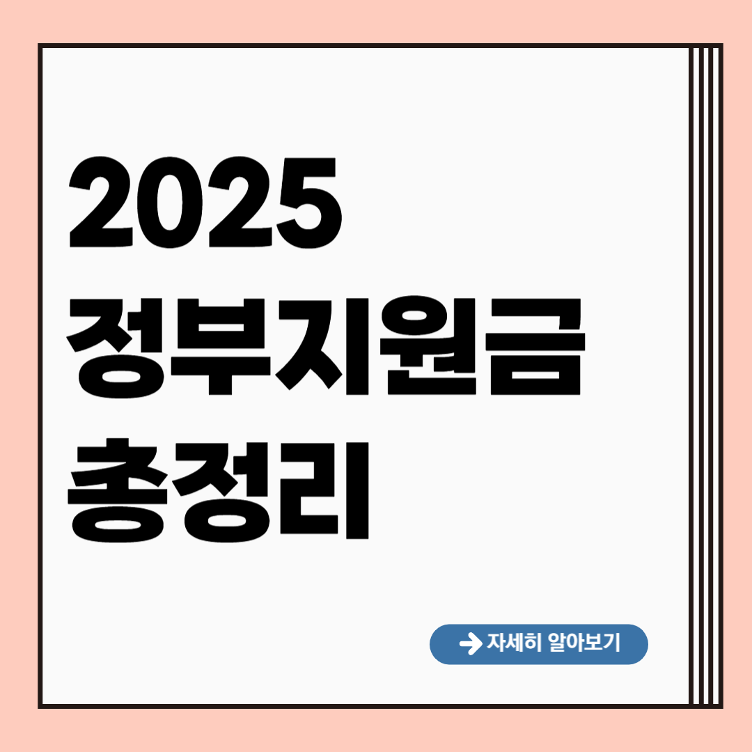 정부지원금
