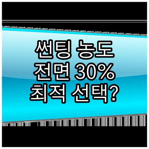 썬팅 전면 30%? 운전 습관, 안전..