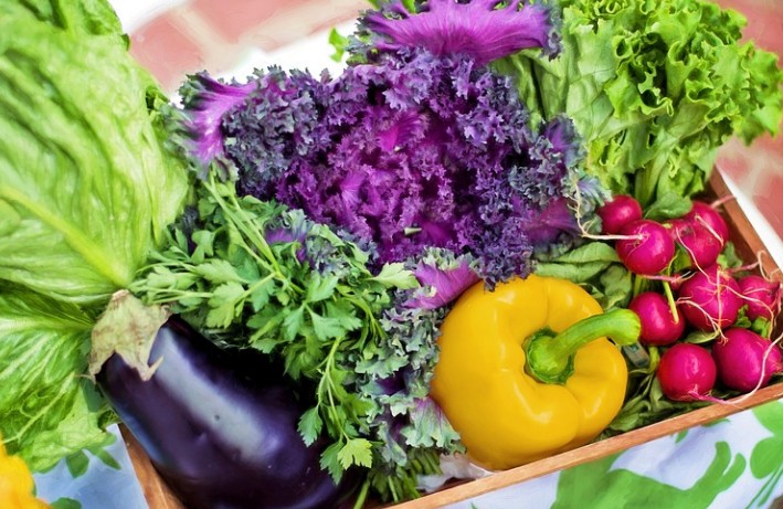 노안과 치매예방에 좋은 음식 완전식품 계란과 같이 먹으면 좋은 석창포 효능, 효과