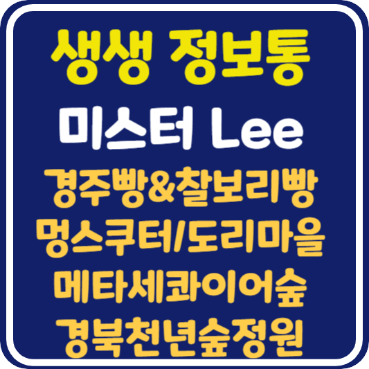 생생 정보통 경주 경주빵 찰보리빵, 멍스쿠터, 도리마을, 메타세콰이어숲, 경북천년숲정원, 한복대여점 위치 및 정보 : 미스터리