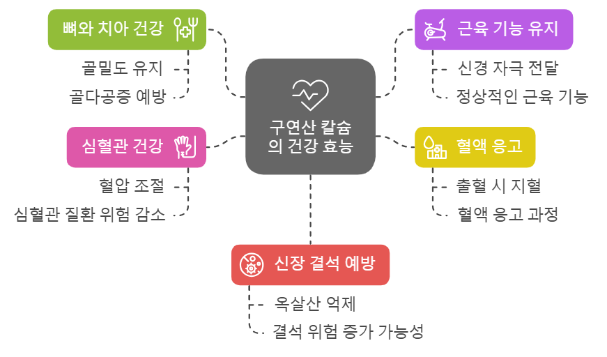 구연산 칼슘 효능