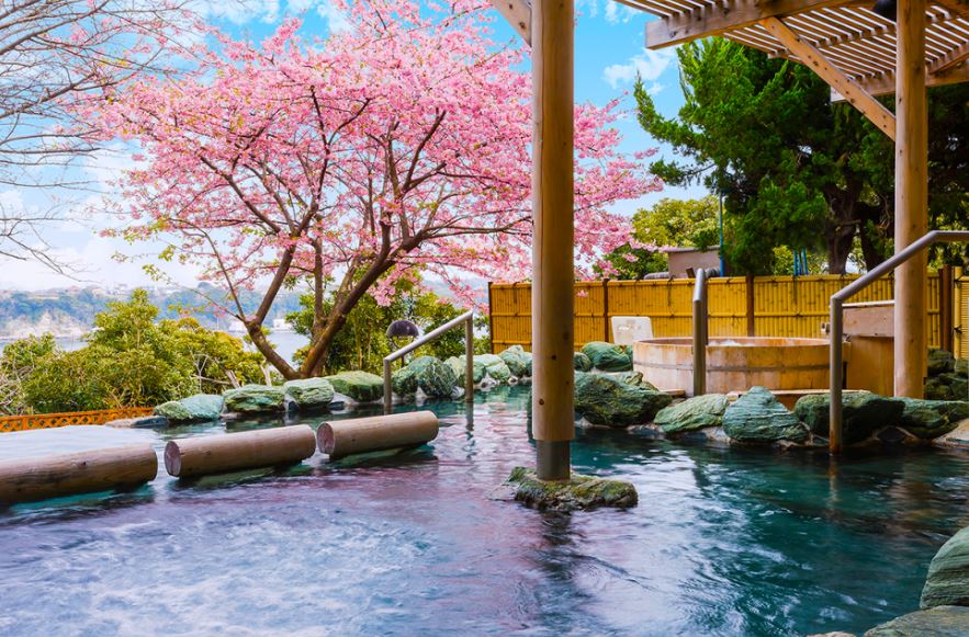 봄 일본 온천 관련 사진