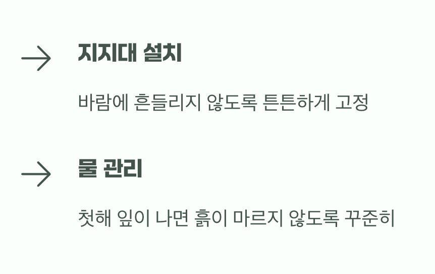 이사 후 몸살을 막는 특별 관리