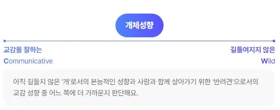 DBTI-강아지-개체성향