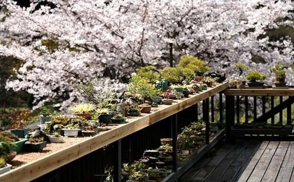 산방산비원